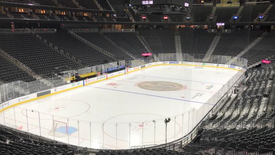 Skate report: Penguins' longest road trip 'a challenge' taken in Las Vegas (Penguins)